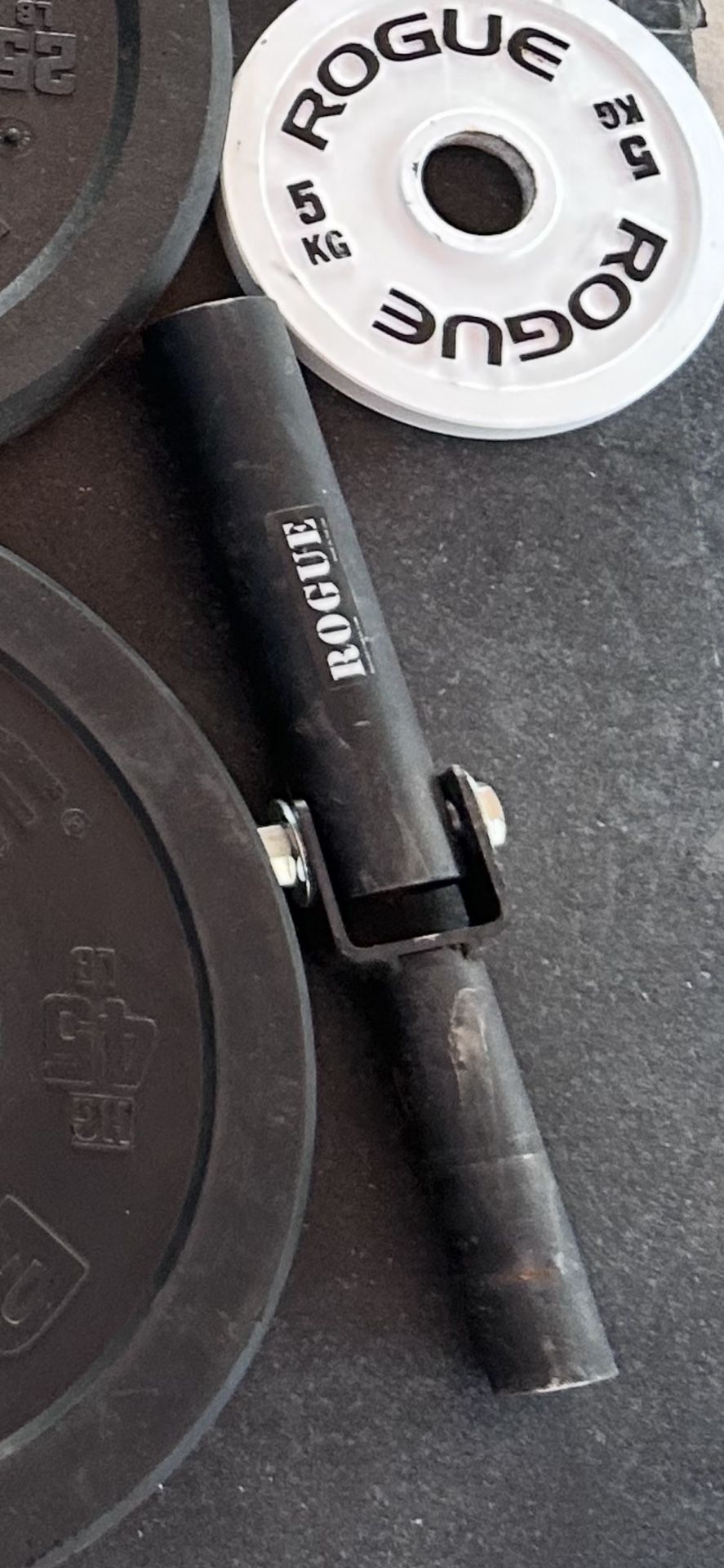 Rogue Fitness Land Mine