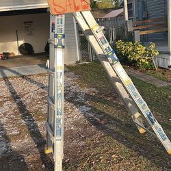 Werner Combo Ladder 