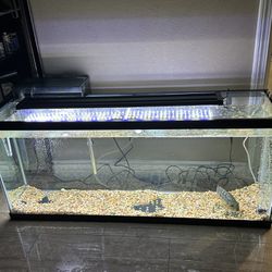 55 Gallon Fish Tank, Filter, Heater 