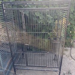 Bird Cage