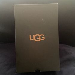 Blue Taz UGGS Size 11