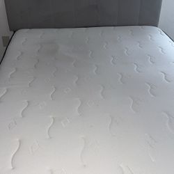 Queen Size Bed with Mattress – $450 (Negotiable) – Pickup Only
