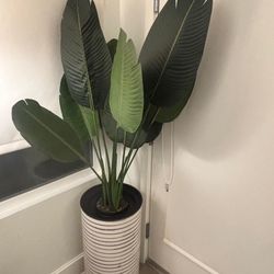 Large Faux Bird of Paradise Plant w/ Tall Modern Planter (Floor Decor)