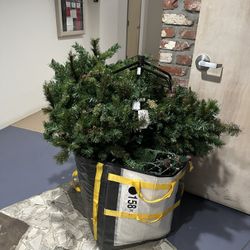 Free Christmas Tress