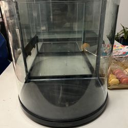Curved Fish Tank 