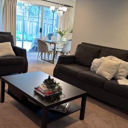 Living Room Set Couches 2 Pieces Gray