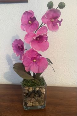 Plant decor