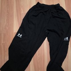 Balenciaga Under Armour Sweatpants