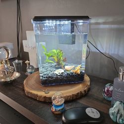 Fish Tank