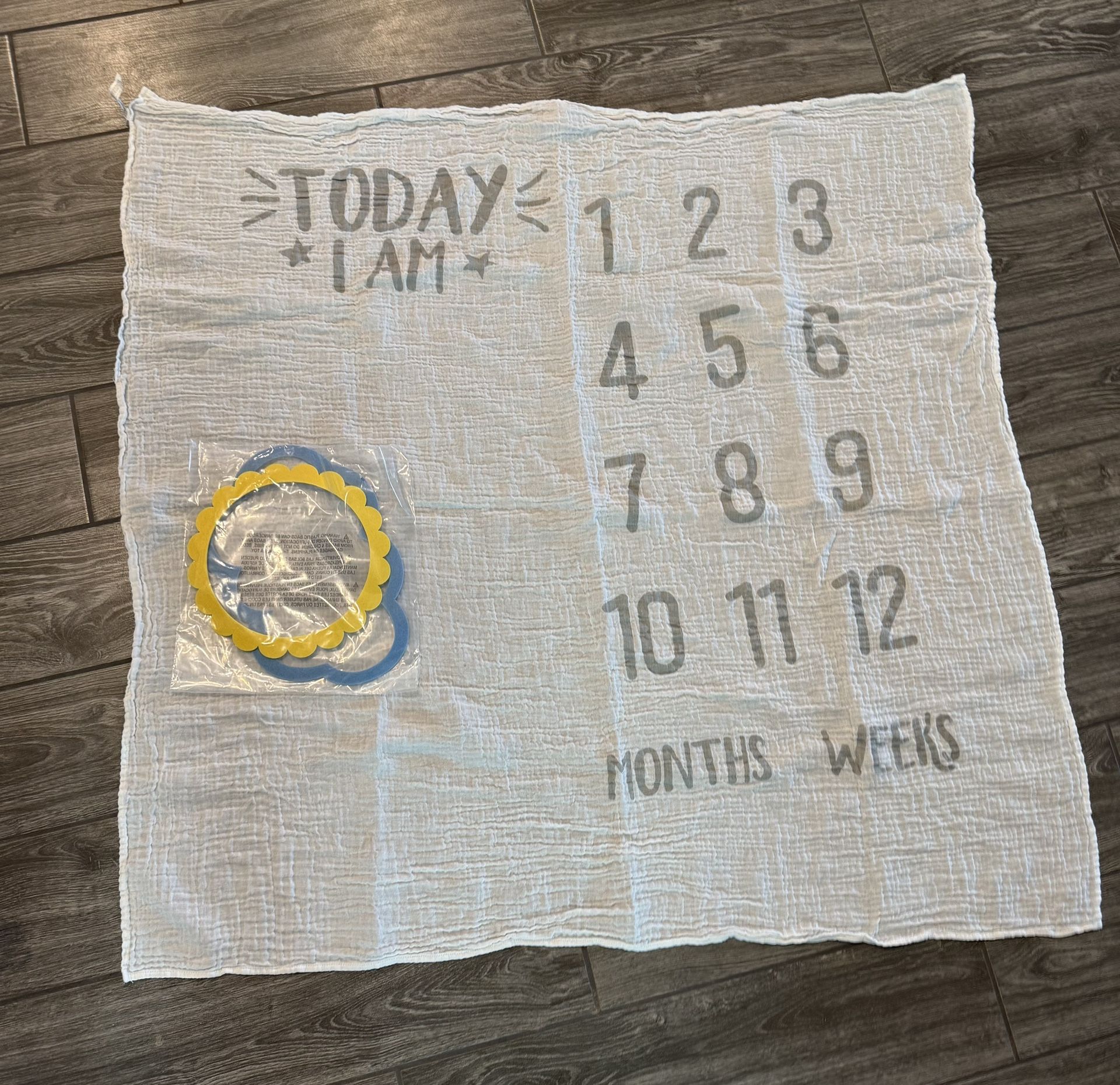 Baby Milestone Blanket 