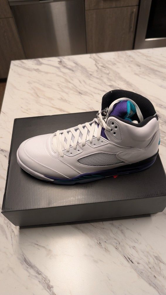 Jordan 5 Retro Grape Size 15
