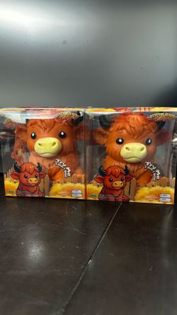 Highland cow Sqeeezy