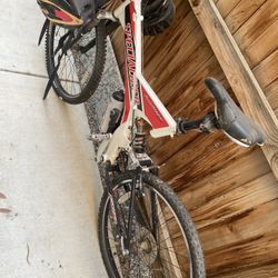 Mountain Bike (Specialized)
