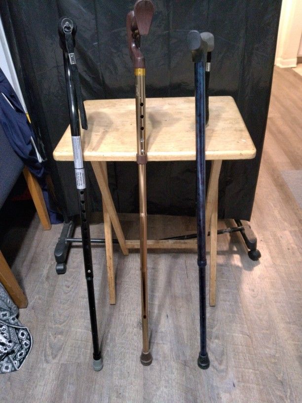 3 Walking Canes. 5 Dollars Each.