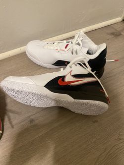 Lebron 2024