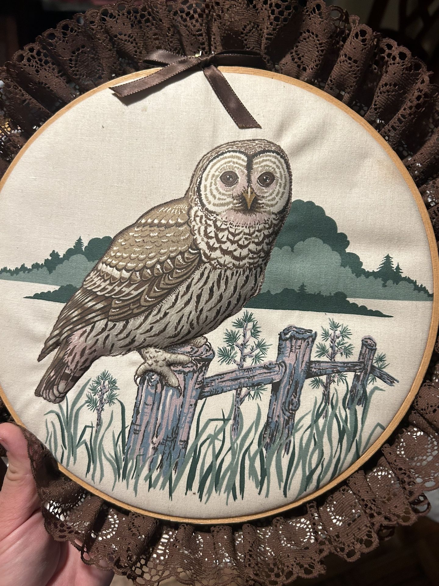 Vintage Owl Embroidered Wall Art 