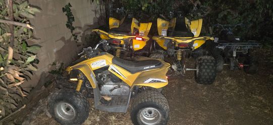 Can am ds250 and ds90
