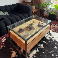 West Elm Coffee Table 