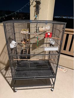 Love bird cage