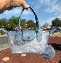 Clear purse