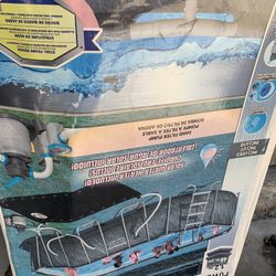 Oval Swimming Pool 20x12x48 