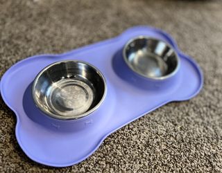 Dog Bowl— Nonslip + No spill