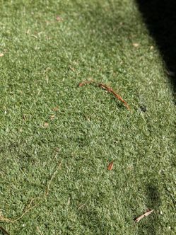 Artificial grass 210 sq ft + extra pieces