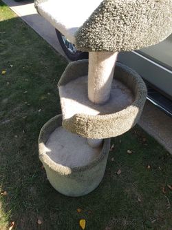 Multi-Level Cat Tree Tower