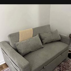 Lateresa 54" Small Loveseat Pull-Out Sofa Bed - Adjustable Backrest With 2 pillows