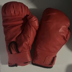 Kids Boxing Gloves 