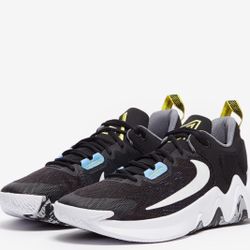 Giannis Antetokounmpo Shoes