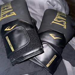 Everlast Elite 12 Ounce Gloves 
