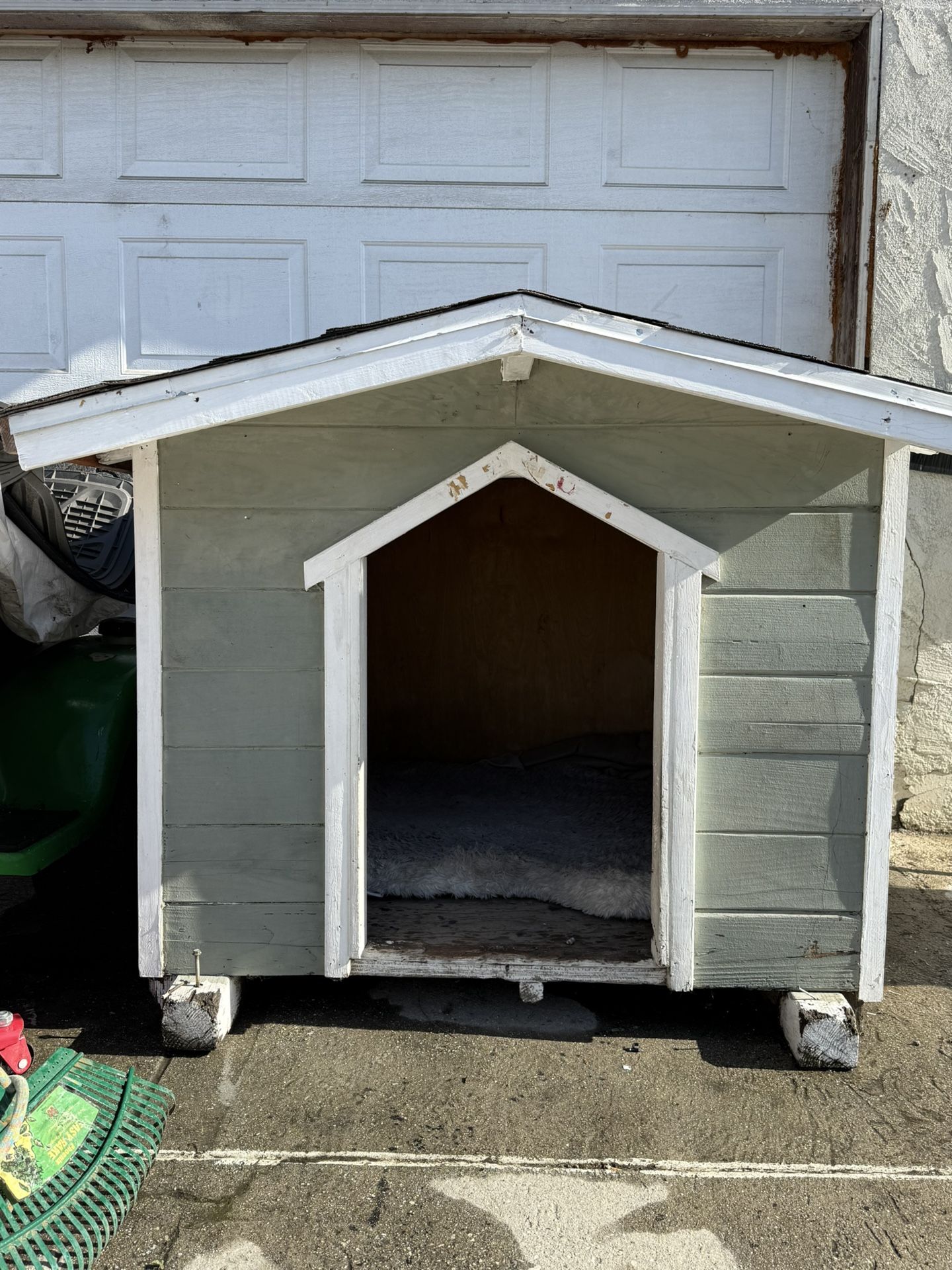 Dog House