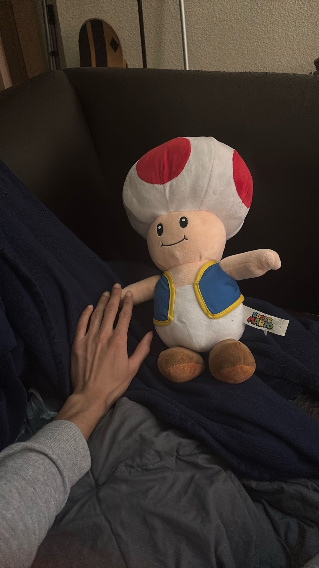 Toad Plushie (Mario Bros!)