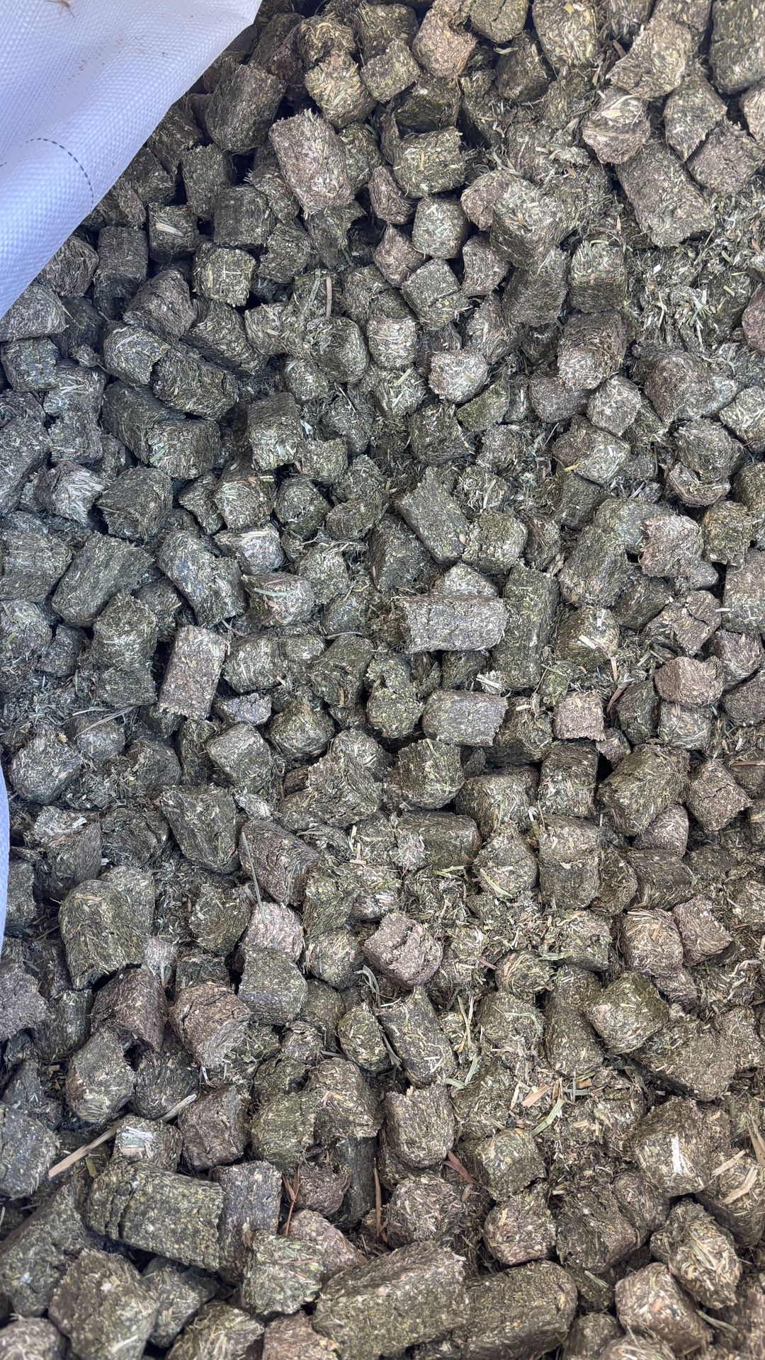Alfalfa Cubes With Grain. Alfalfa