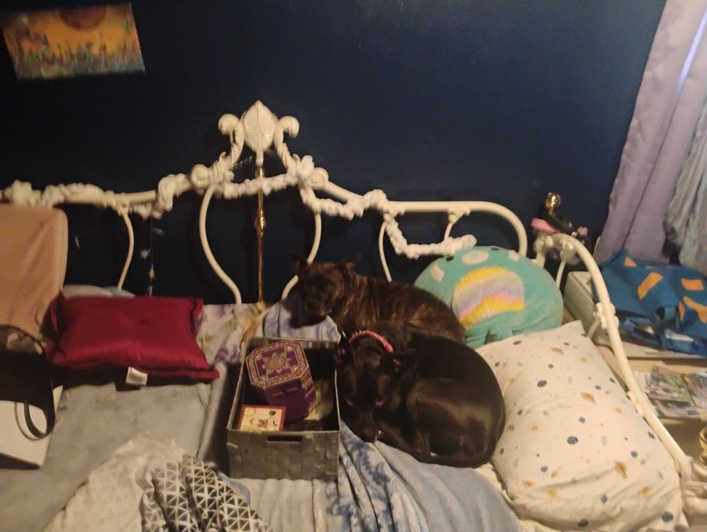 Girls Bedroom Set