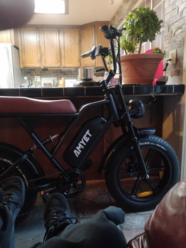 Amyet Electric Bicycle 1500 Watt 38 Mph
