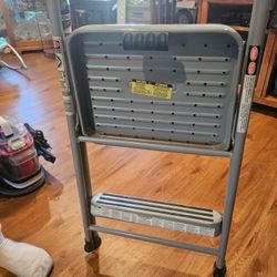 Step Stool Brand New