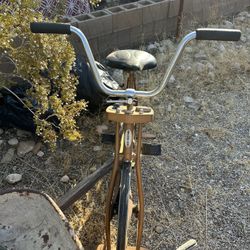 Schwinn Exercise Bike