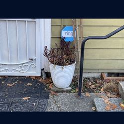 Must Sell Asap Make Offer Used For Staging Home Perennials Planters Plants Just Bought A Month Ago Sold House 