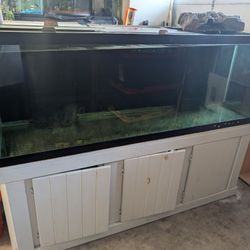 180 Gallon Tank, Stand And Lids 