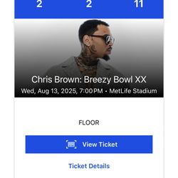 PLATINUM CHRIS BROWN TICKET