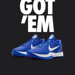 Kobe VI Protro