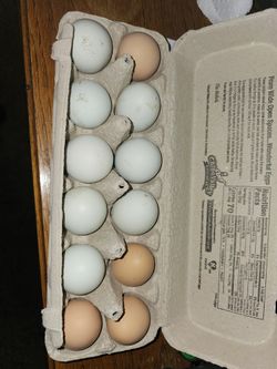 Organic Eggs