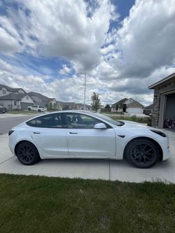 2020 Tesla Model 3 (White) 🚘 - Drive Today!