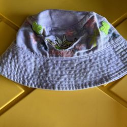 Disney Girl Hat