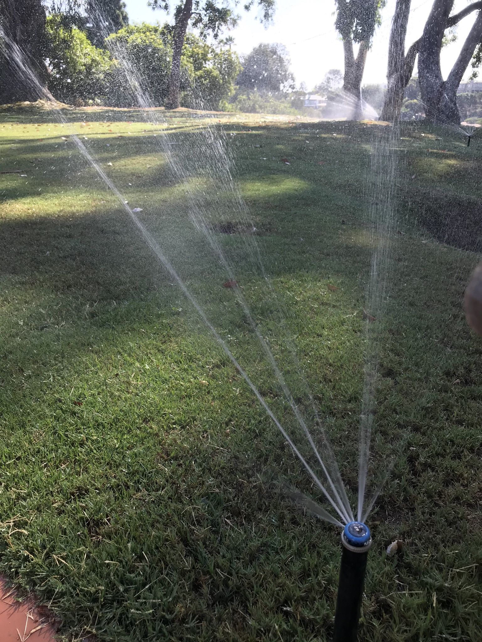 Sprinkler Repair - Irrigation System repair