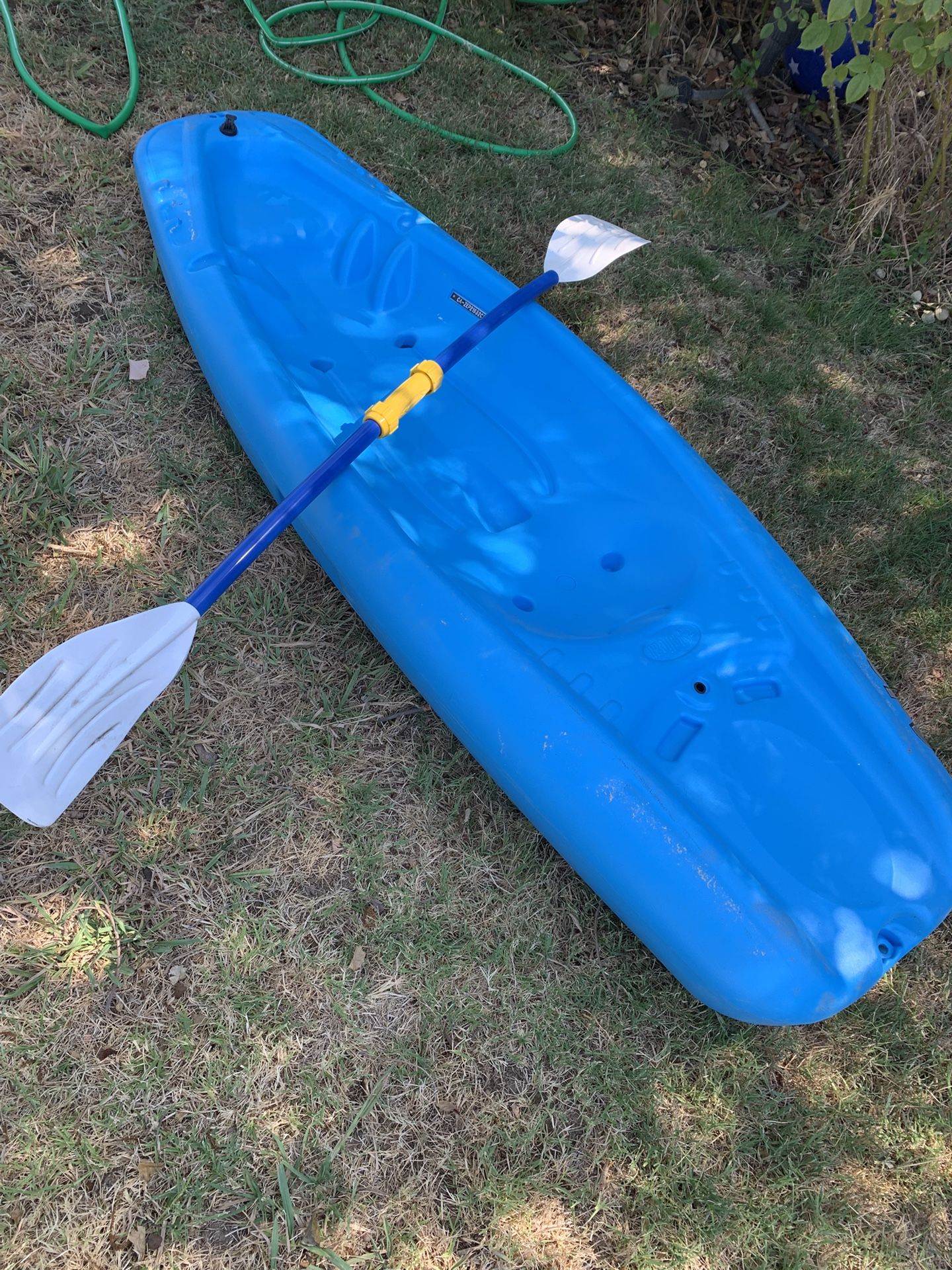 Kayak