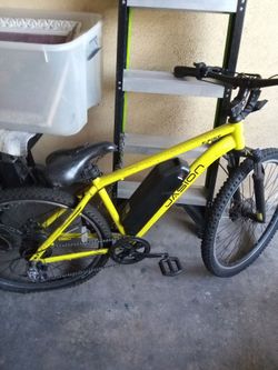 Jasion e bike adult size