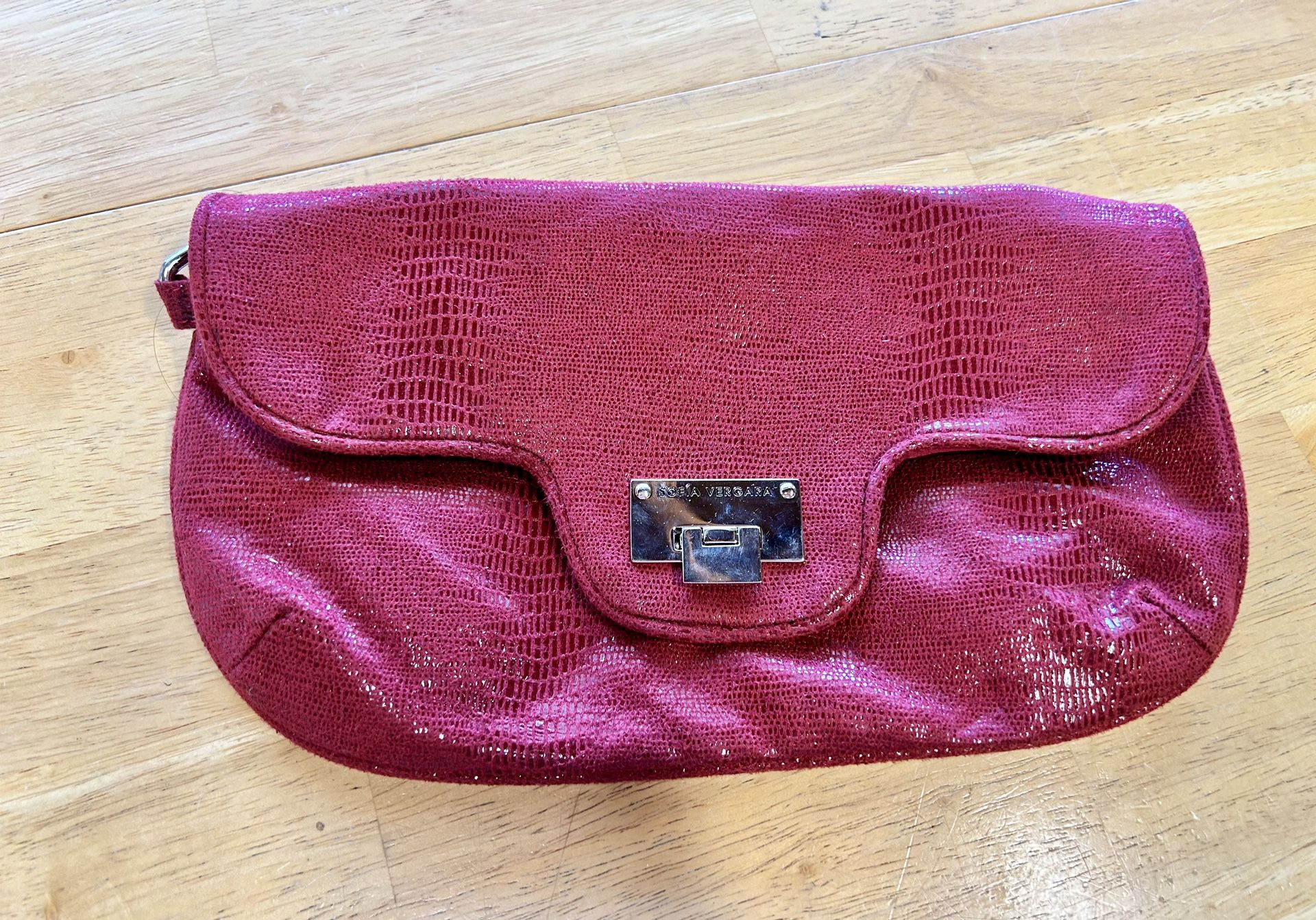 Sofia Vergara Clutch